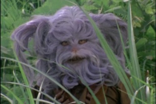 PDVD_010.jpg