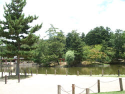 東大寺9.jpg
