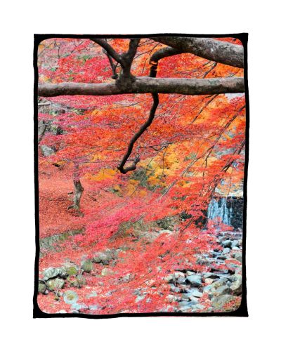 養老公園　紅葉