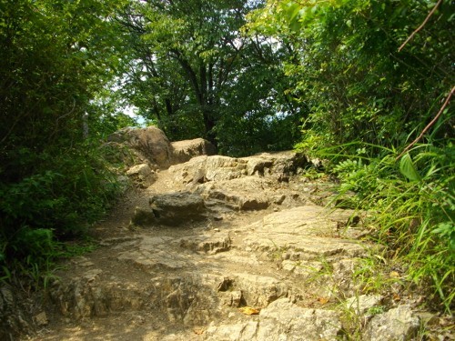 伊豆ヶ岳山頂 (3) (500x375).jpg