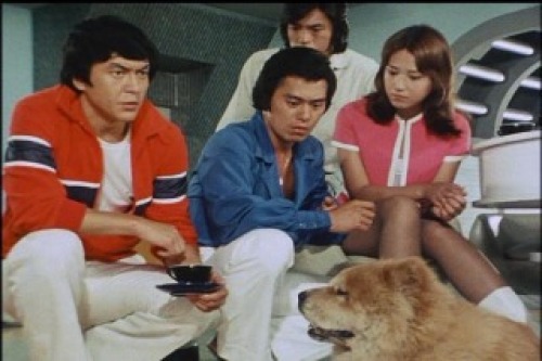 PDVD_011.jpg