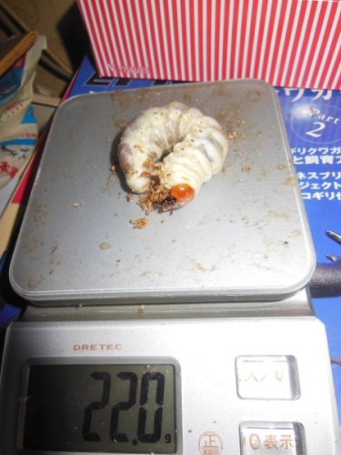 hB4cδ-28-28 (1).JPG