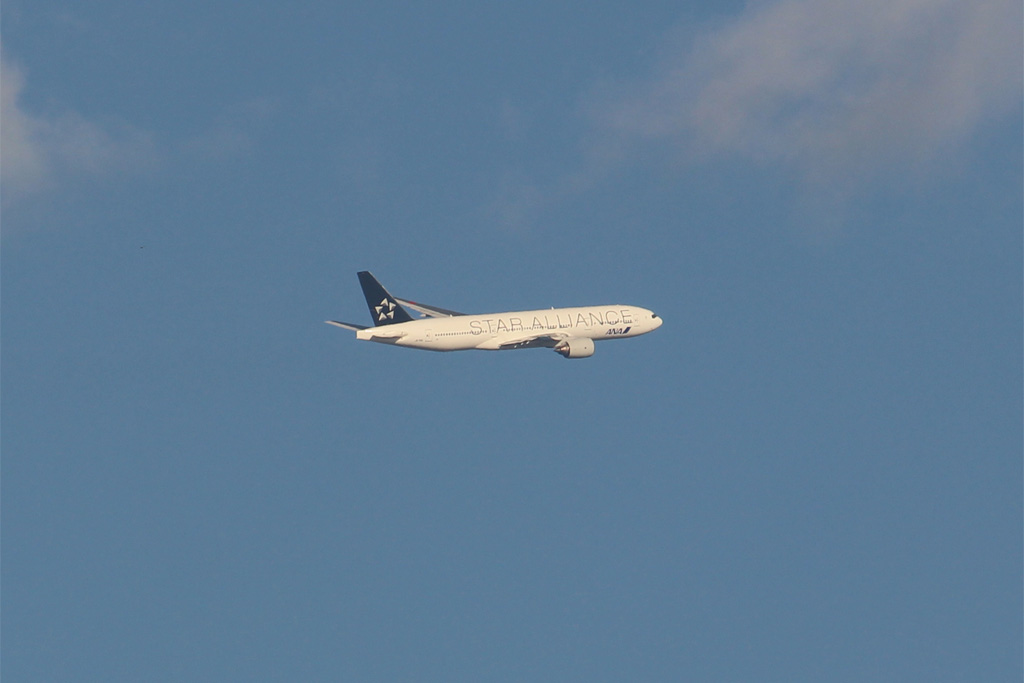 ANA B777スターアライアンス塗装（東京港野鳥公園）