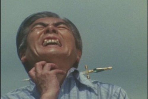 PDVD_031.jpg