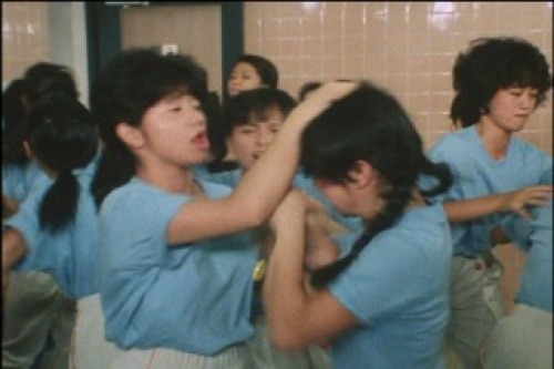 PDVD_029.jpg