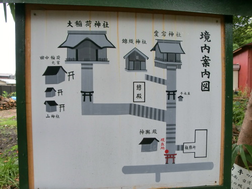 CIMG8428.JPG