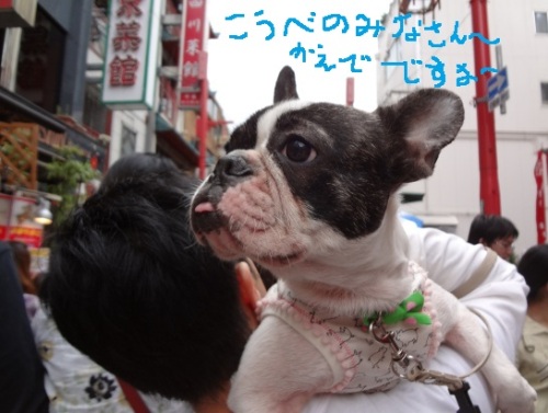神戸4.jpg