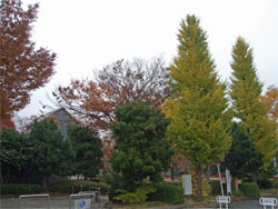 霞城公園18.jpg