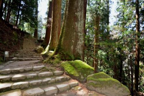 pict-室生寺 31.jpg