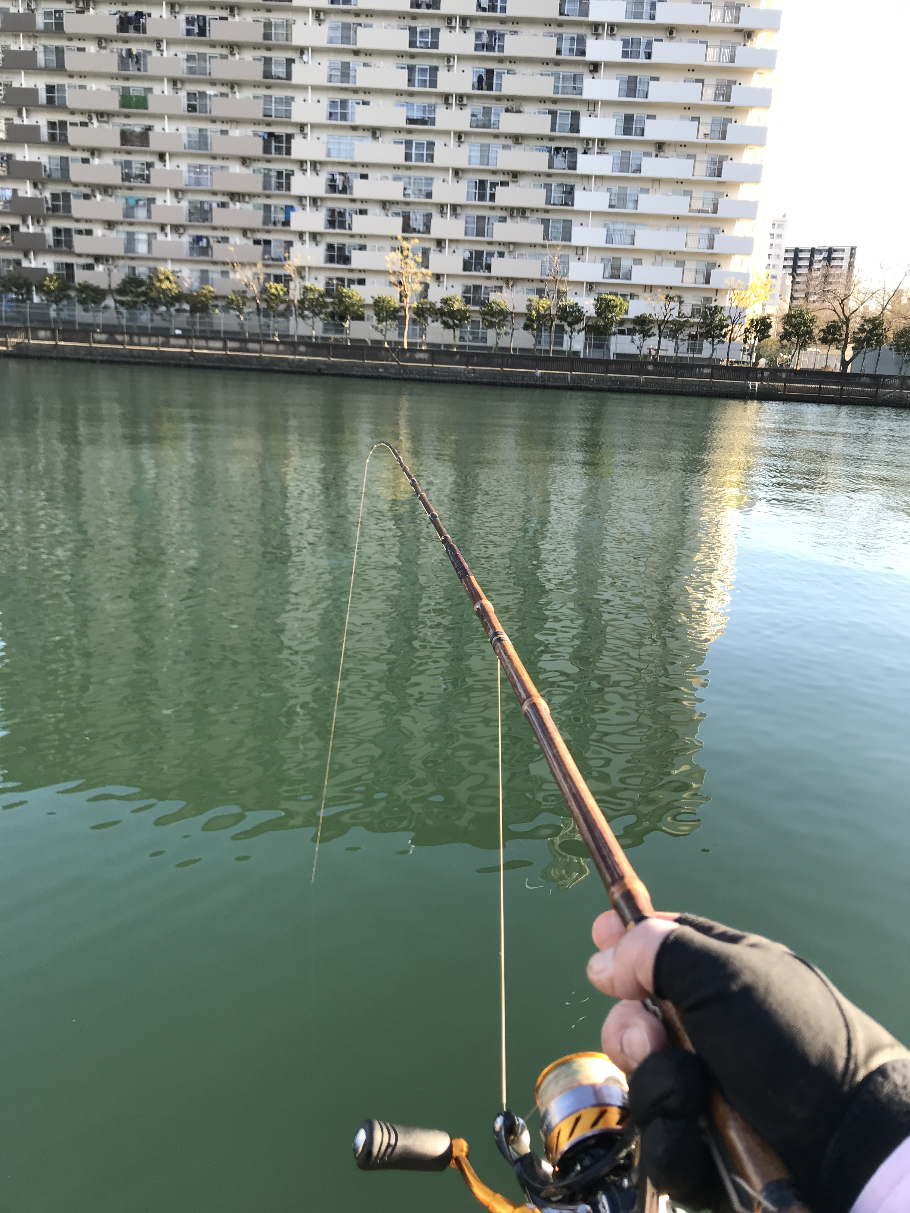 今年最後 運河のハゼ釣り その７ 山さんの釣りと趣味のブログ 楽天ブログ