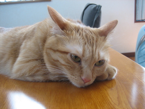 August 12, 2013(2).JPG