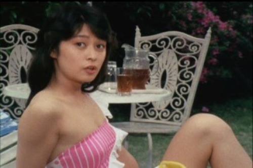 PDVD_016.jpg