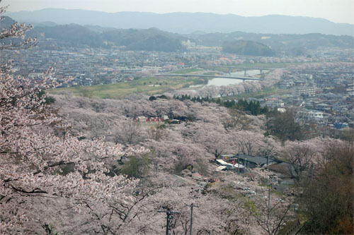 船岡10.jpg