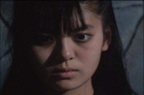 PDVD_013.jpg