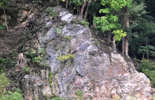 pict-松尾大社 24.jpg