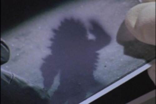 PDVD_025.jpg
