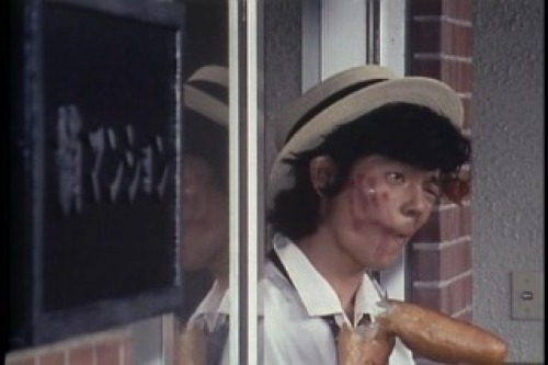 PDVD_005.jpg