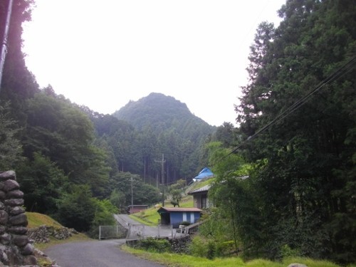 伊豆ヶ岳遠景 (500x375).jpg