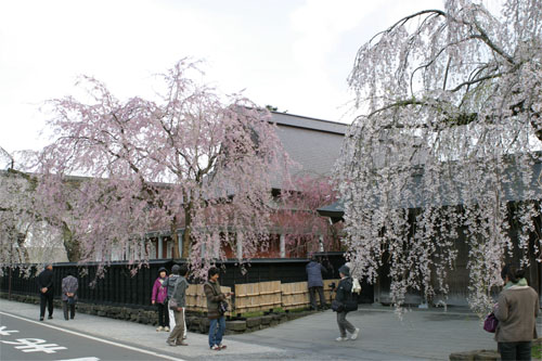 角館31.jpg