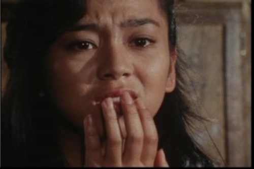 PDVD_031.jpg