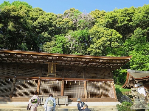 神社8宇治上神社本殿.jpg