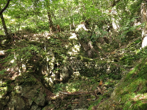 IMG_0927t.jpg
