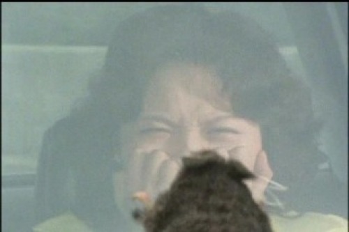 PDVD_038.jpg