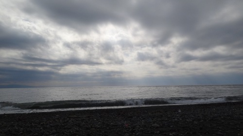 ノーズマ...価格:5,670円(税込、送料込)
2012年02月29日
コメント(0)
![