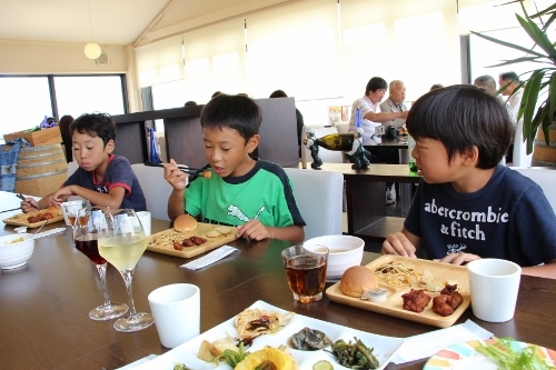 IMG_3378 (500x333).jpg