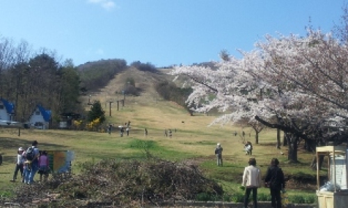 泉ヶ岳スキー場1.jpg