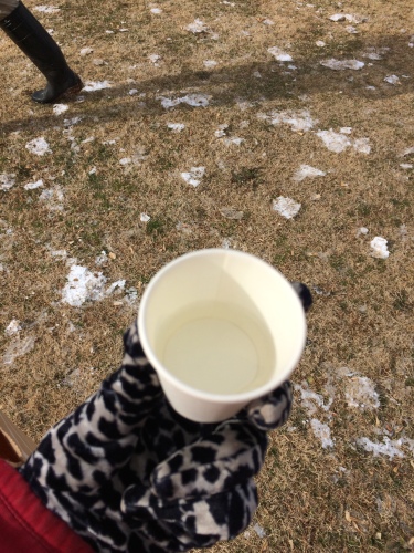 IMG_8265 - コピー.JPG