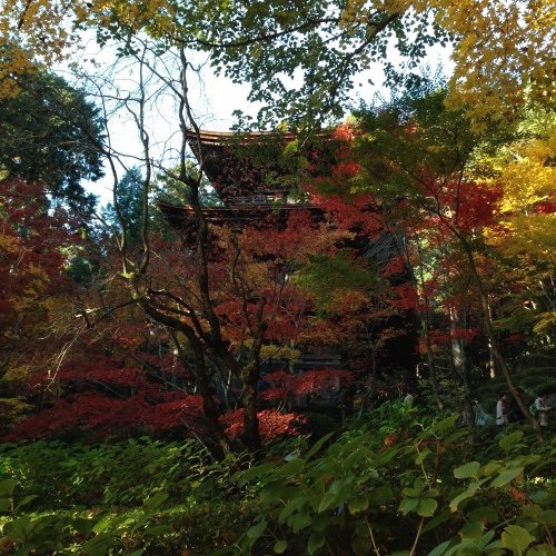 画像 1940.jpg