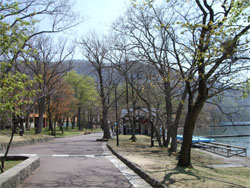 十和田湖13.jpg