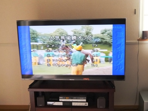 DSCF6184.JPG