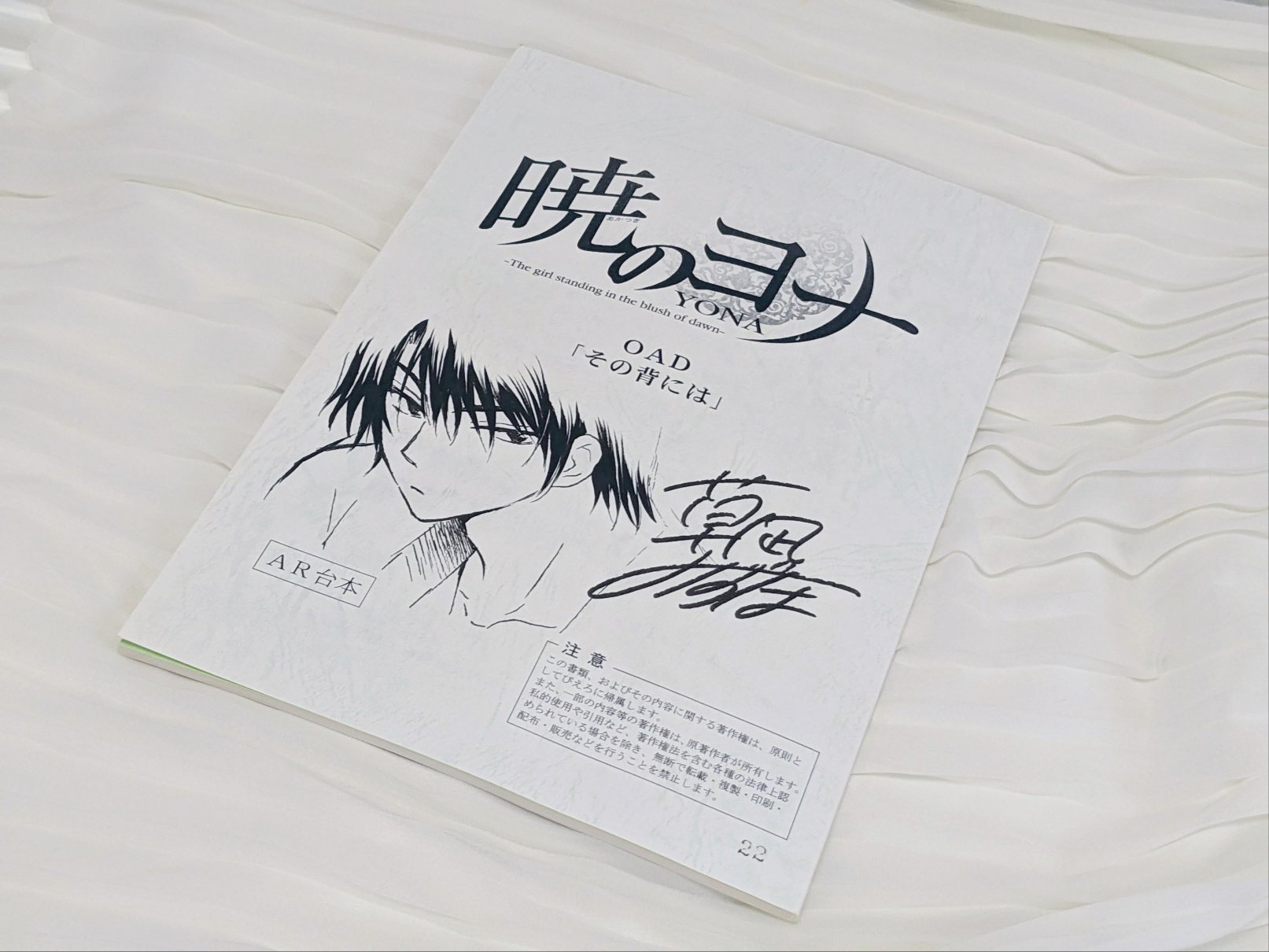 暁のヨナ 完結直前！クローゼットの中のお宝を蔵出ししてみる①