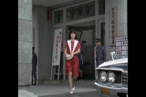 PDVD_057.jpg