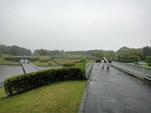 ひたち海浜公園21.jpg