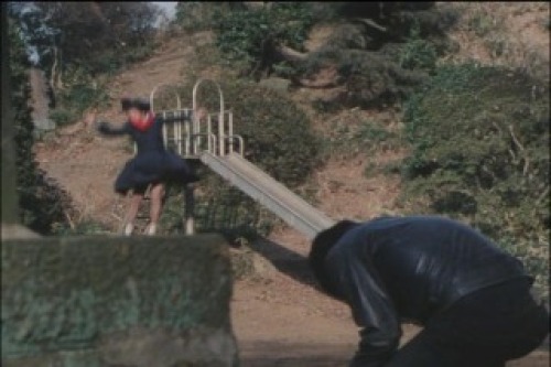 PDVD_026.jpg