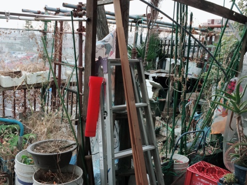 WRPD0279 - コピー.jpg