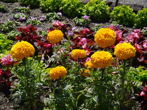 DSC02637.JPG