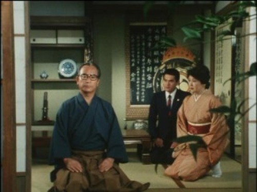 PDVD_005.jpg