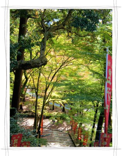 京都　毘沙門堂　紅葉