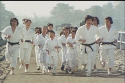 PDVD_004.jpg