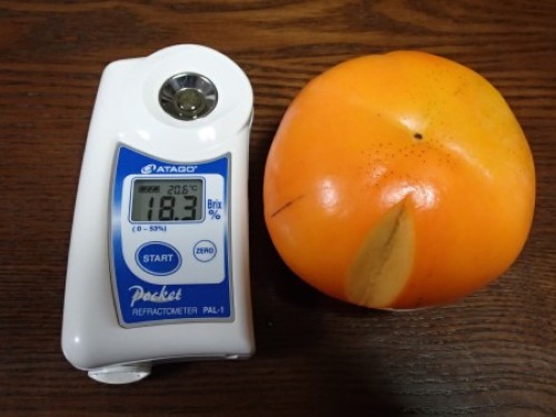 2013_11_01 007富有柿の糖度 サイズ変更.jpg