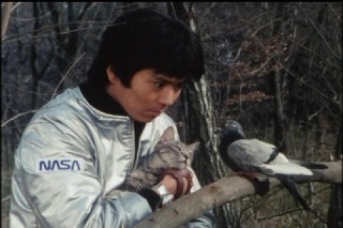 PDVD_011.jpg