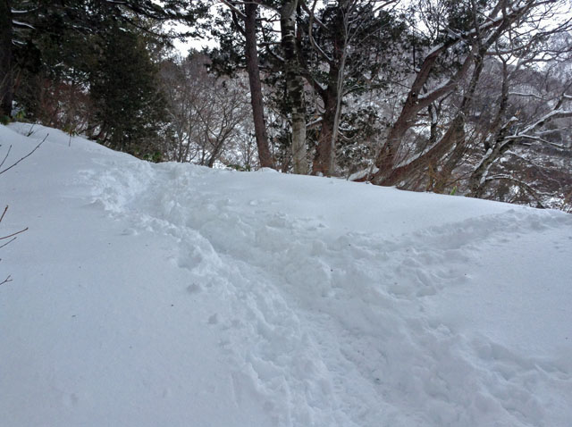 Shiragamon20160113.JPG