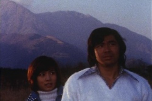 PDVD_022.jpg