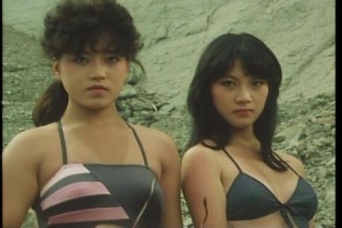 PDVD_026.jpg