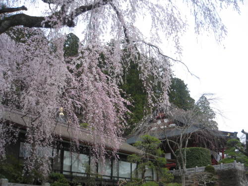 IMG_4488.JPG