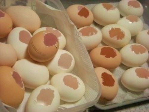 DSCN8574 (300x225).jpg